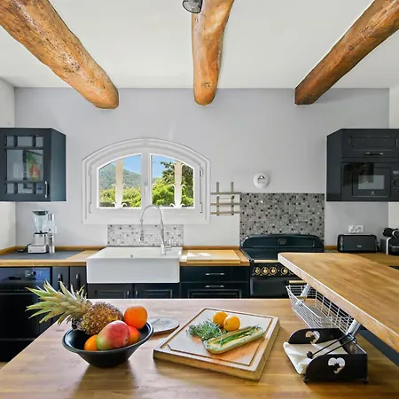 Villa Provencale Avec Piscine A Collobrieres Holiday home *