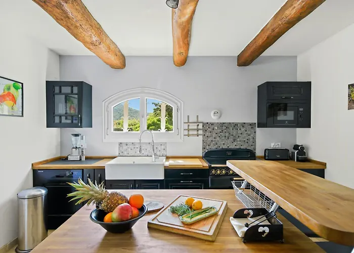 Provencal With Pool In Collobrieres Holiday home *